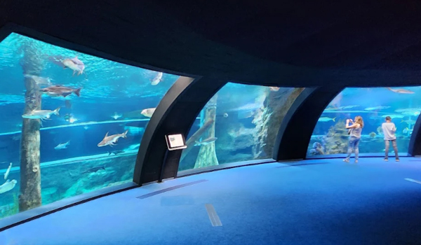 túnel submarino de un acuario